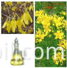 High-Quality-Fructus-Forsythia-Oil.jpg_220x220